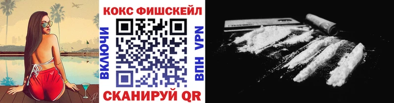 Cocaine Fish Scale  Купить закладки  Салаир 