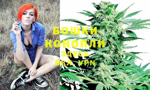тгк Корсаков