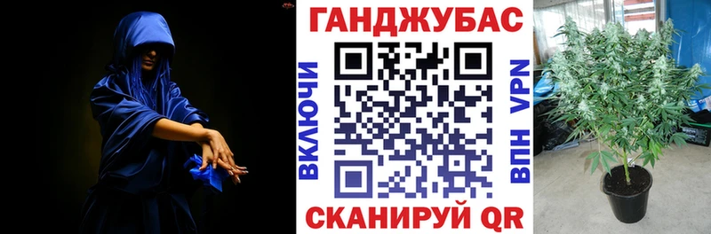 Канабис Amnesia  Купить где  Салаир 